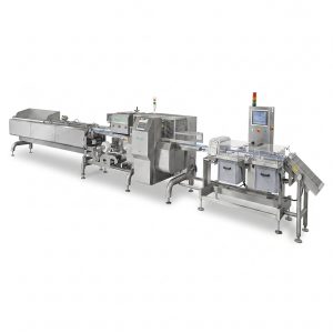Envasadora Horizontal FP 021 en Acero Inoxidable